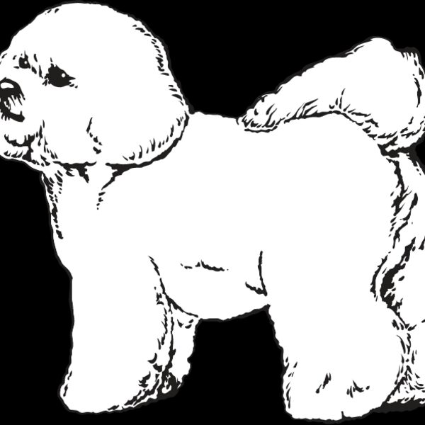 Bichon Frise2 Thumbnail