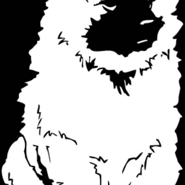 Keeshond Thumbnail