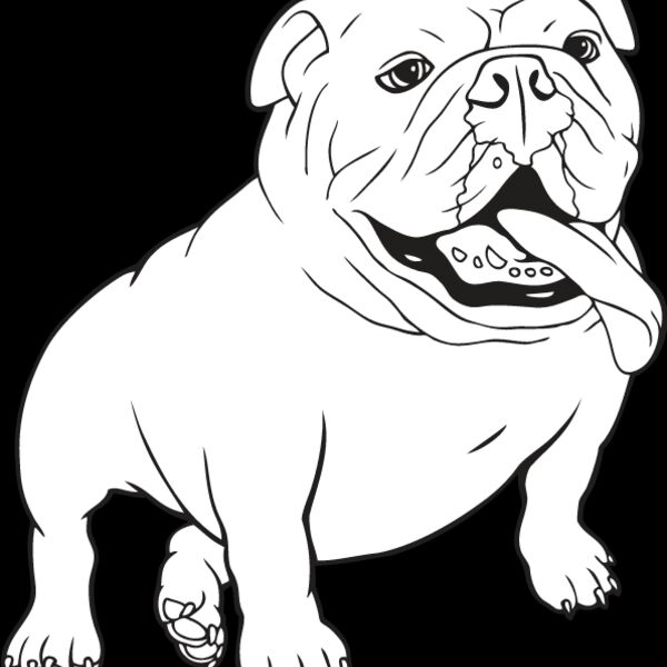 Bulldog2 Thumbnail