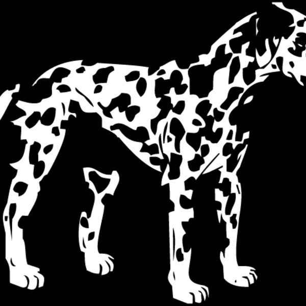 Dalmation1 Thumbnail
