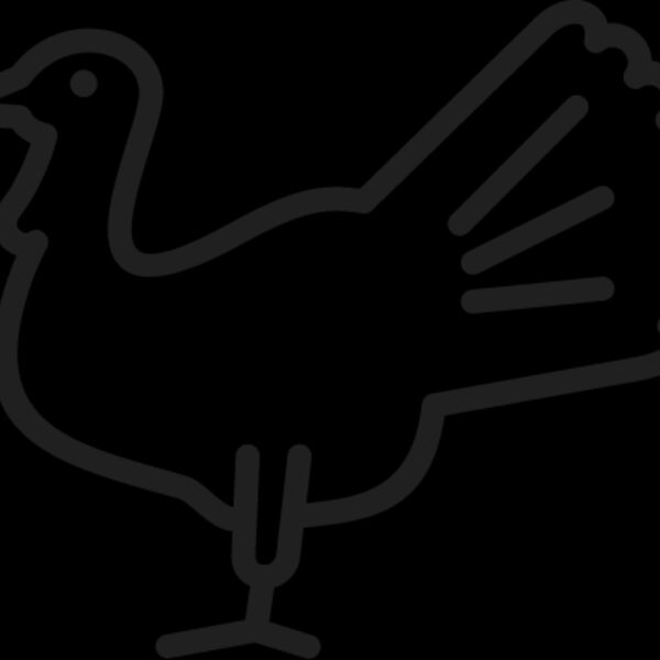 Turkey2 Thumbnail
