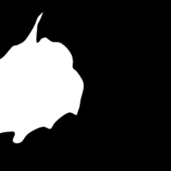 Mountain21 Thumbnail