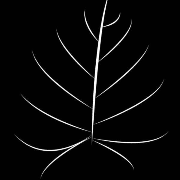 Leaf2 Thumbnail