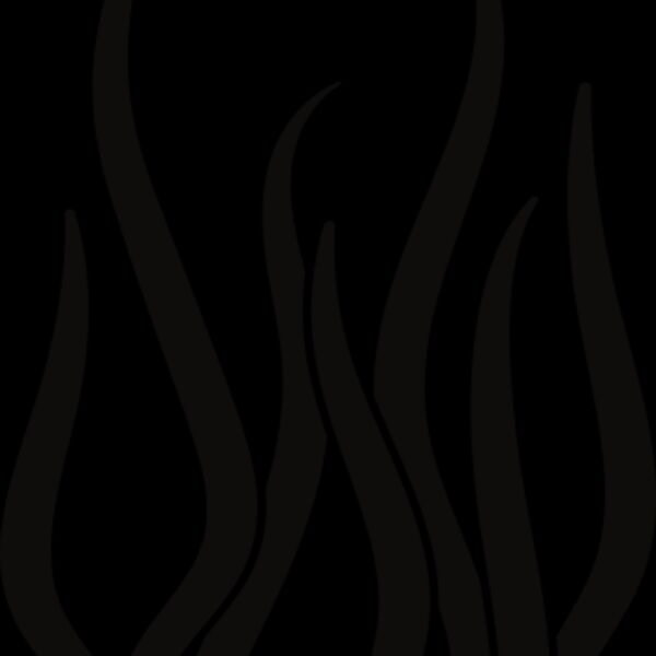 Seaweed1 Thumbnail