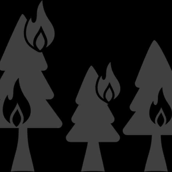 Forest Fire1 Thumbnail