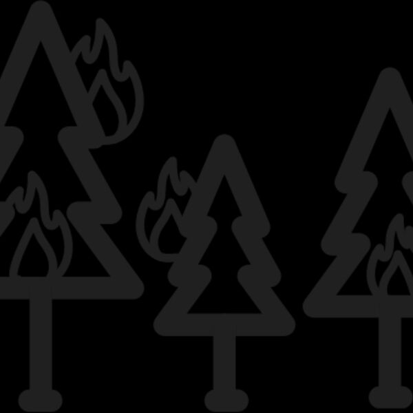 Forest Fire2 Thumbnail