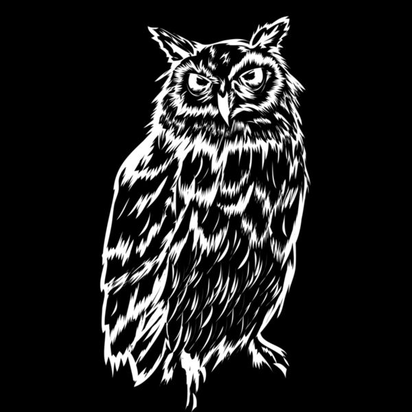 NightOwlWhite Thumbnail