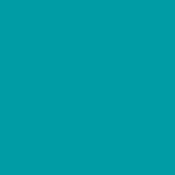 Turquoise - PMS 320C (1799) Thumbnail