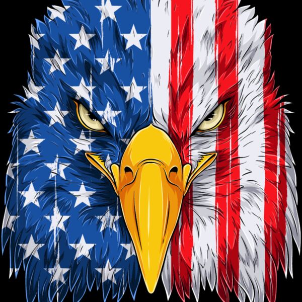 USA Bald Eagle Thumbnail
