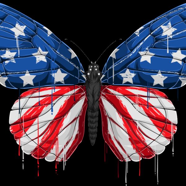 USA Butterfly Thumbnail