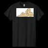 Heavy Cotton ™ 100% Cotton T Shirt Thumbnail