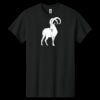 Heavy Cotton ™ 100% Cotton T Shirt Thumbnail