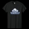 Heavy Cotton ™ 100% Cotton T Shirt Thumbnail