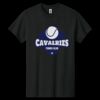 Heavy Cotton ™ 100% Cotton T Shirt Thumbnail
