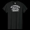 Heavy Cotton ™ 100% Cotton T Shirt Thumbnail