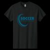 Heavy Cotton ™ 100% Cotton T Shirt Thumbnail