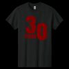 Heavy Cotton ™ 100% Cotton T Shirt Thumbnail