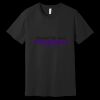 Unisex Jersey Short Sleeve Tee Thumbnail