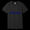 Unisex Jersey Short Sleeve Tee Thumbnail