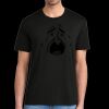 Super Soft Perfect Tri ® Tee Thumbnail