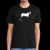 Super Soft Perfect Tri ® Tee Thumbnail