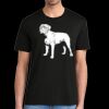 Super Soft Perfect Tri ® Tee Thumbnail