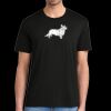 Super Soft Perfect Tri ® Tee Thumbnail