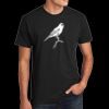 Unisex CVC Tee Thumbnail