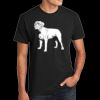 Unisex CVC Tee Thumbnail